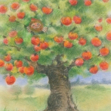Cartolina: Nanetto nell'albero di mele