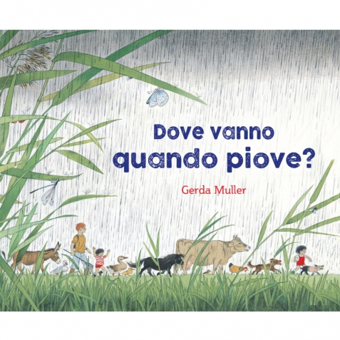 Dove vanno quando piove?  Illustrato a colori