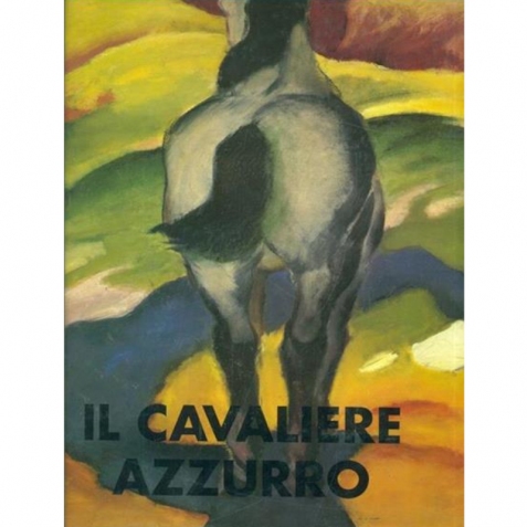 Il cavalliere azzurro - Libro usato 