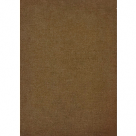 Continuo Infinito Presente - Libro usato 