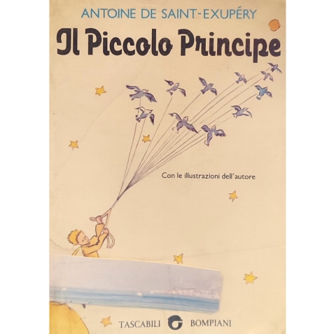 Il piccolo principe - Libro usato 