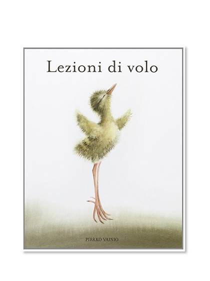Lezioni di volo