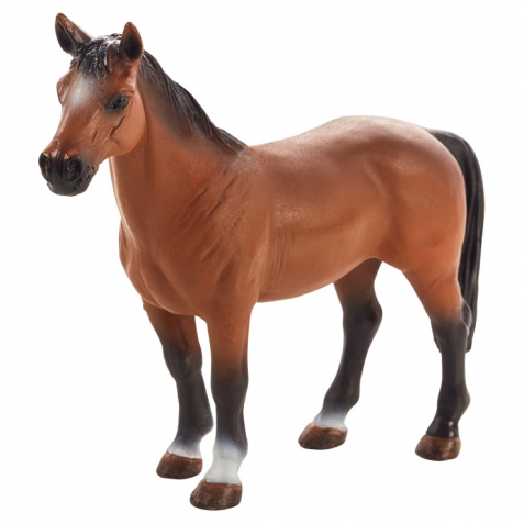 Cavallo marrone - Trakehner