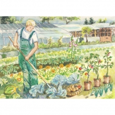 Cartoline: Lavorare nell'orto