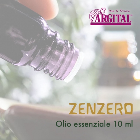 Olio essenziale - Zenzero - Argital