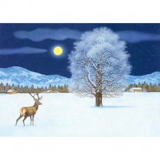 Calendario dell'Avvento Grande - Magica notte d'inverno