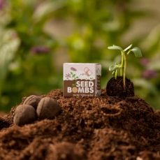 Pallina di terra con semi misti  - Seed boms