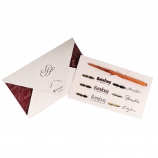 Penna calligrafica e 6 pennini
