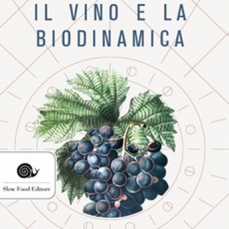 La vigna, il vino e la biodinamica