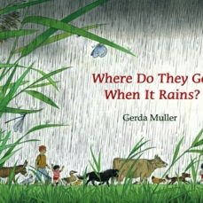 Dove vanno quando piove? - Testo in lingua inglese