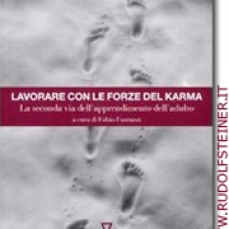 Lavorare con le forze del karma - La seconda via dell'apprendimento dell'adulto