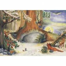 Calendario dell'Avvento Grande - Fra le radici