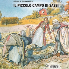 Il piccolo campo di sassi