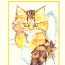 Amina e Joy - 24 racconti aspettando il Natale