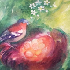 Cartolina: Il nido di Primavera