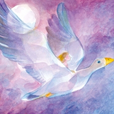 Cartolina: Il viaggio di Jonathan