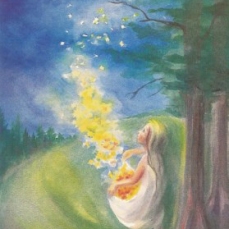 Cartolina: Pioggia di Stelle di Margret von Borstel