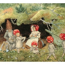 Cartolina: La famiglia funghetto