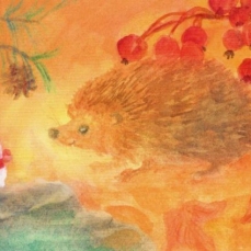 Cartolina: Il nanetto e il riccio