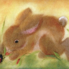 Cartolina: Il coniglietto e la coccinella