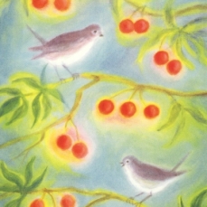 Cartolina: Uccellini sul ramo di ciliegio