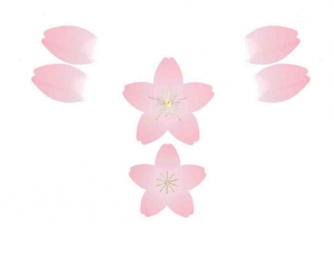 Adesivi -  fiore di ciliegio e petali 