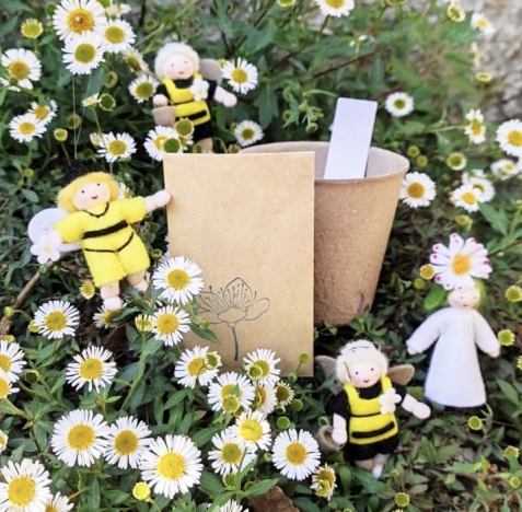 Kit  per la Semina - Il Giardino delle Api. Semina fiori raccogli miele!