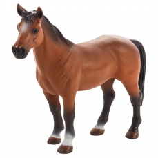 Cavallo marrone - Trakehner