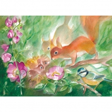 Cartolina: Lo scoiattolo e i suoi cuccioli