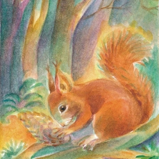 Cartolina: lo Scoiattolo e la pigna