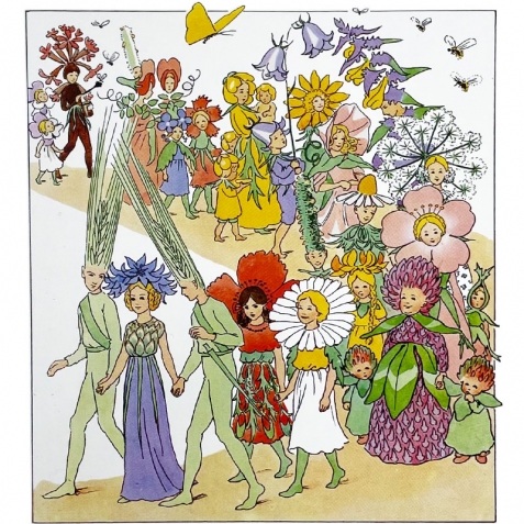 Cartolina: Festa dei fiori