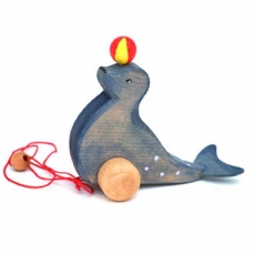 Foca giocherellona trainabile
